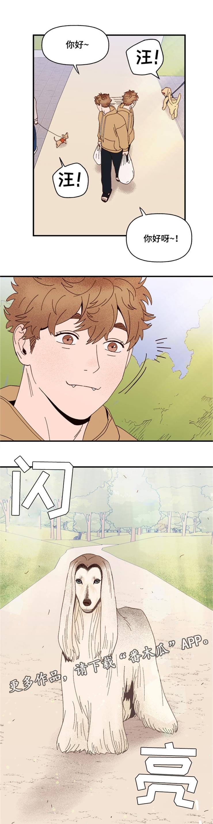 第17章：传说