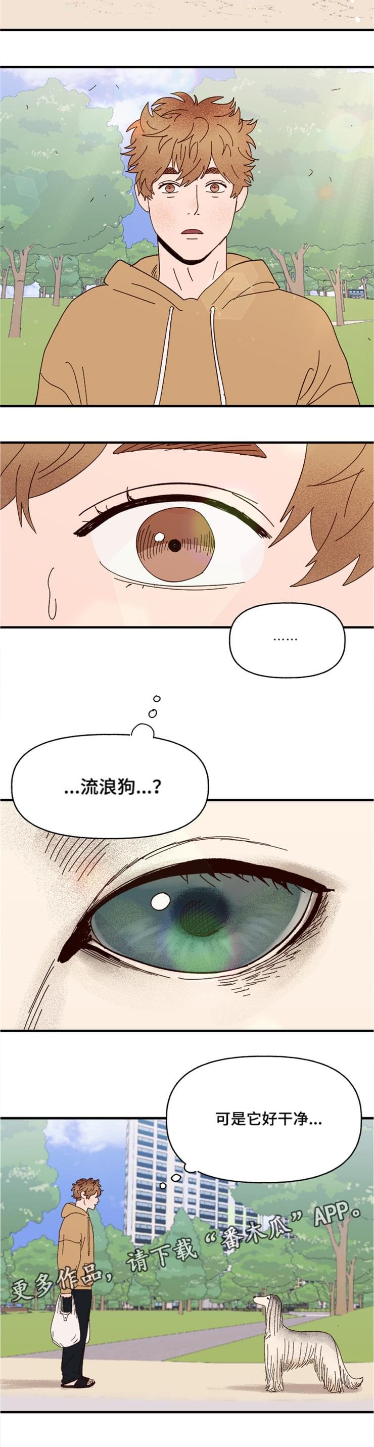 第17章：传说