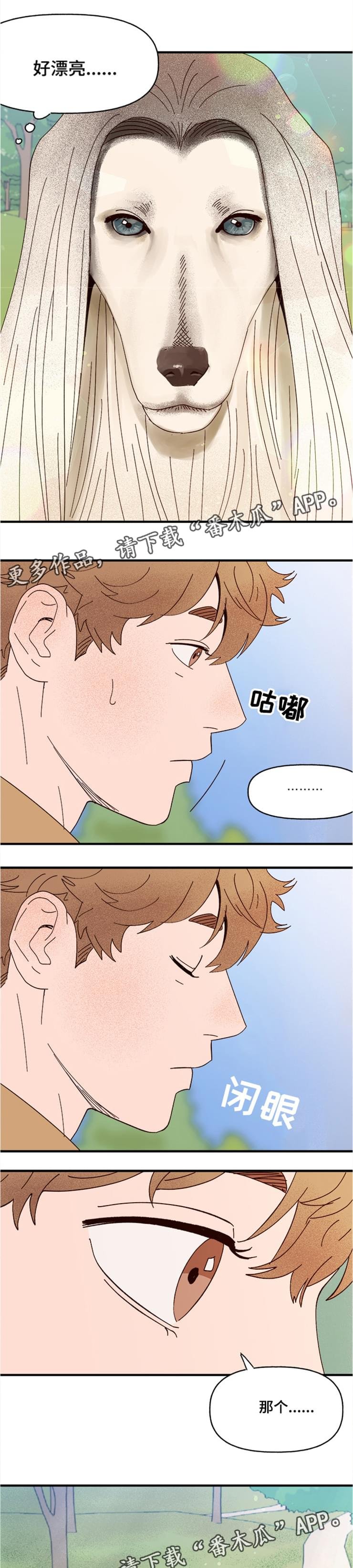 第17章：传说