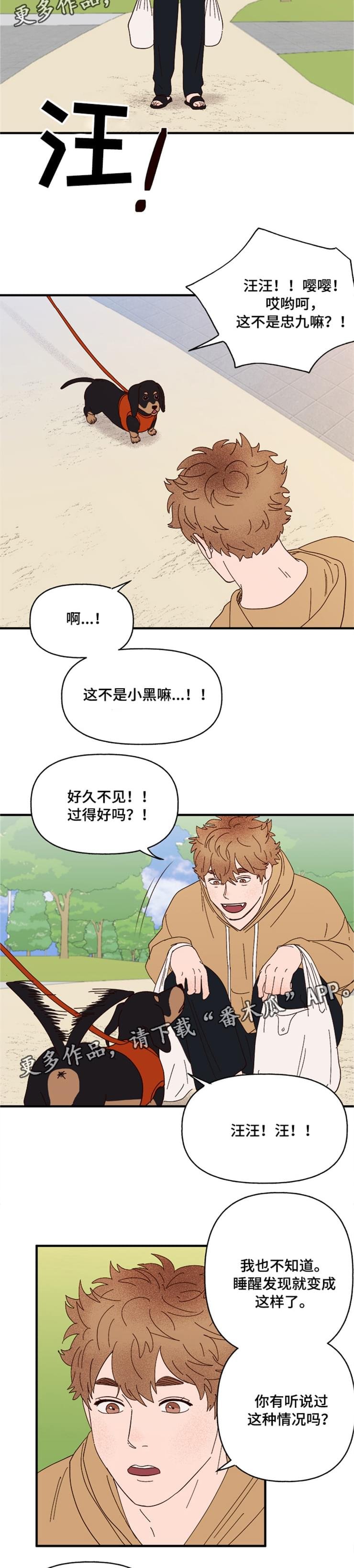 第17章：传说