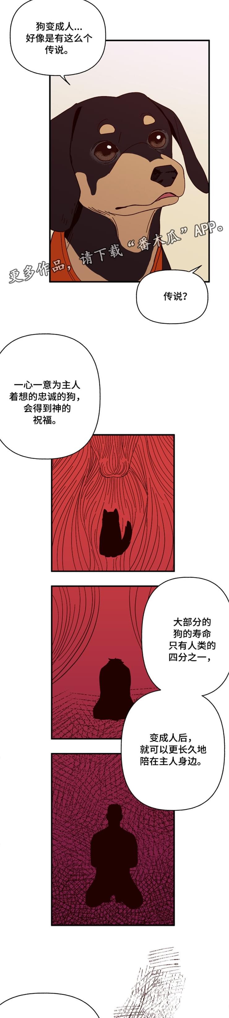 第17章：传说
