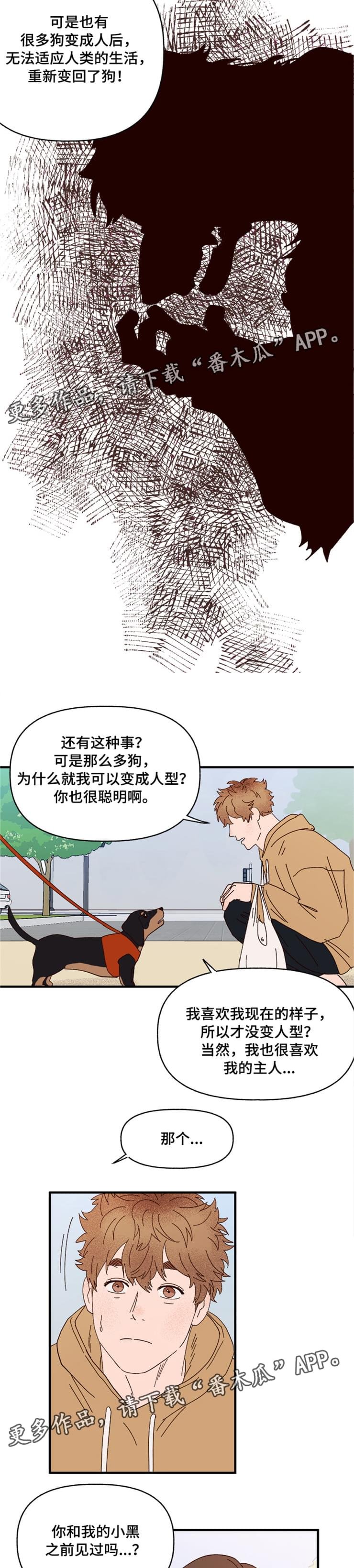 第17章：传说