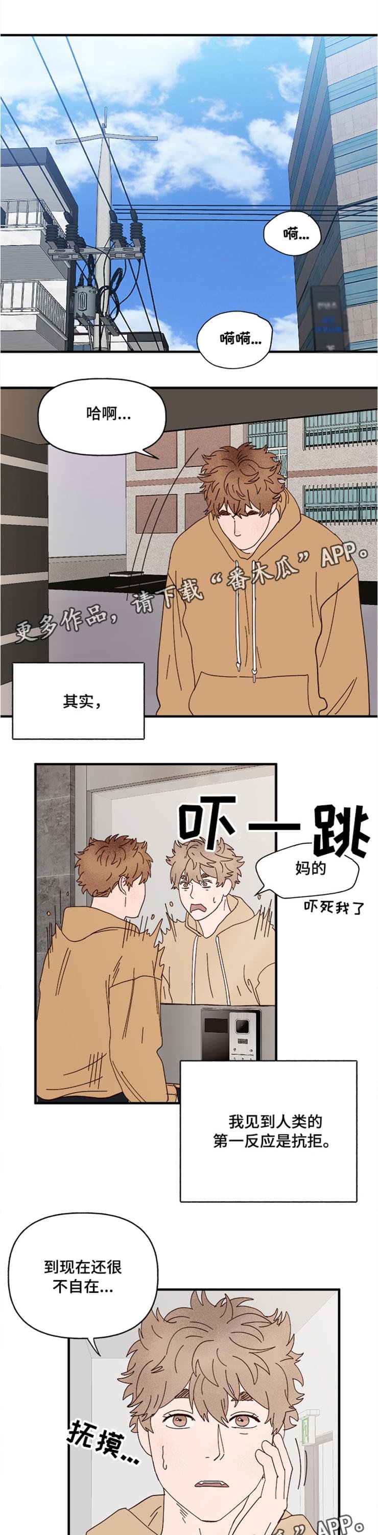 第18章：回忆