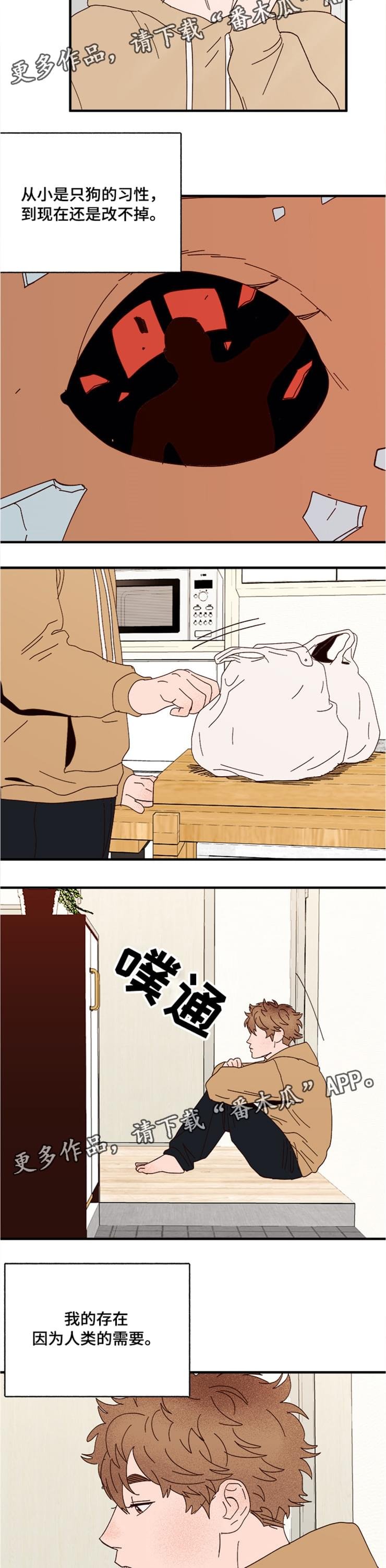 第18章：回忆