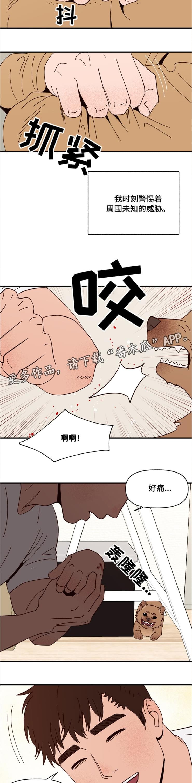 第18章：回忆