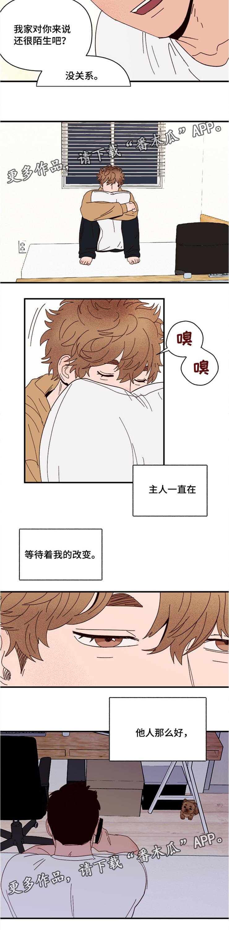 第18章：回忆