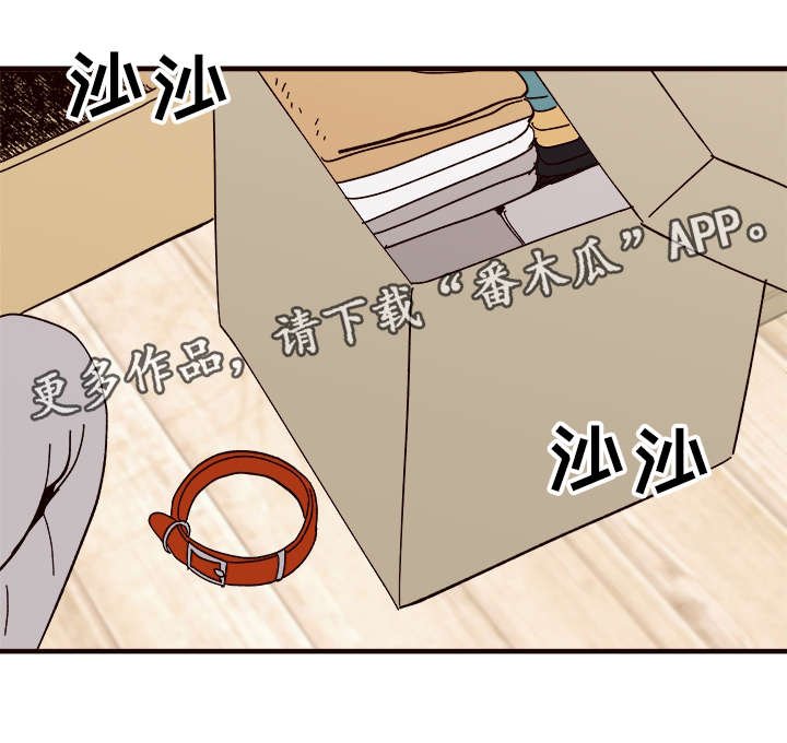 第25章：说服
