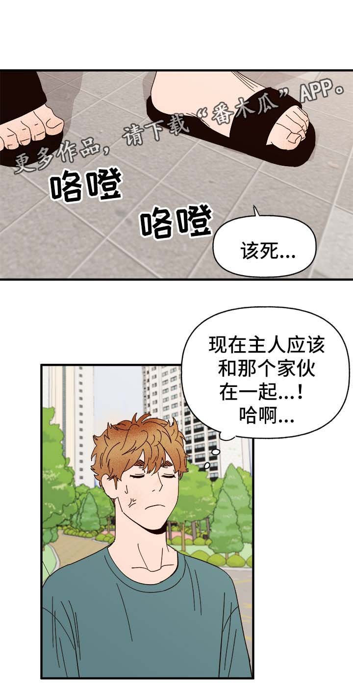 第29章：狗神