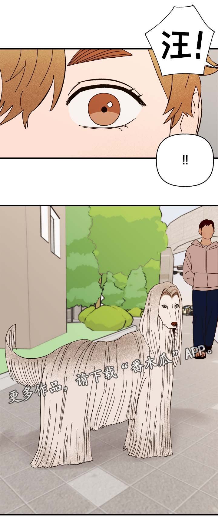 第29章：狗神