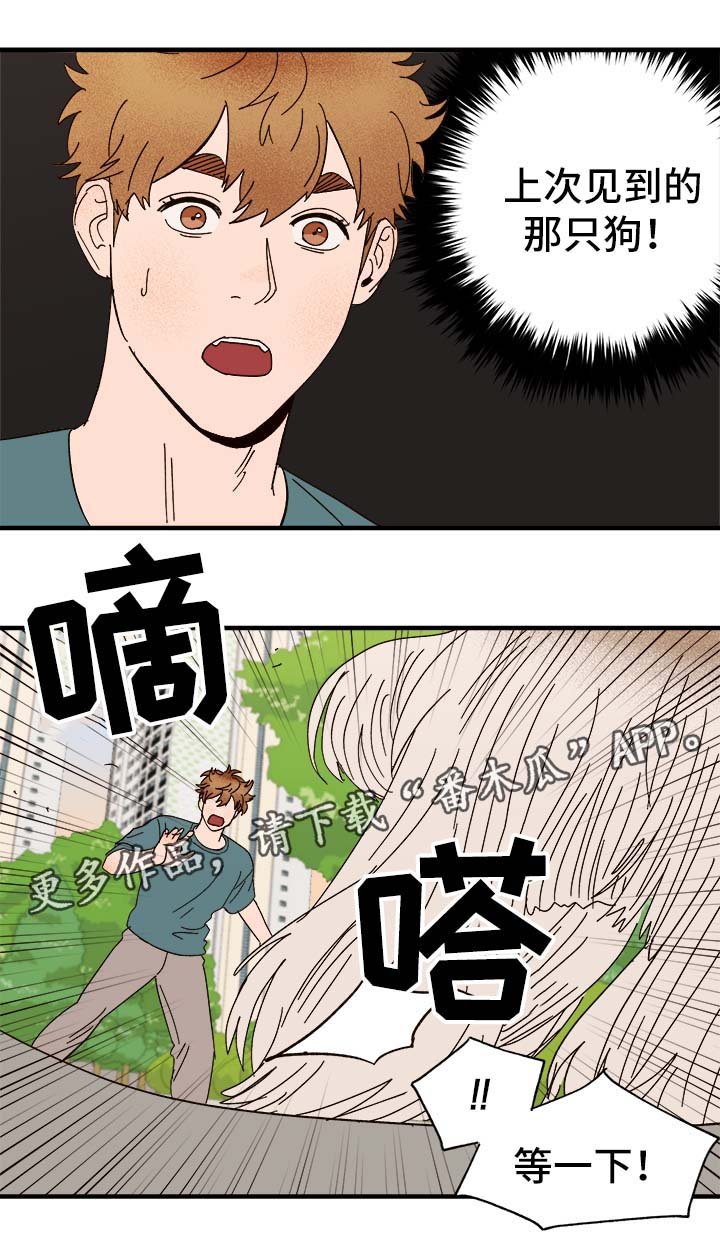 第29章：狗神