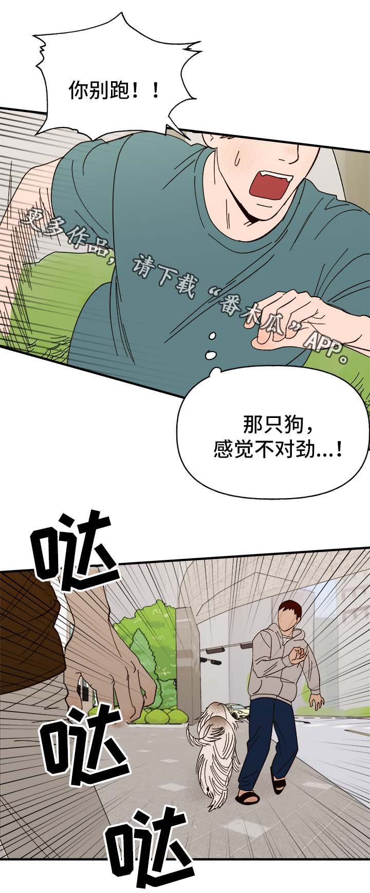 第29章：狗神