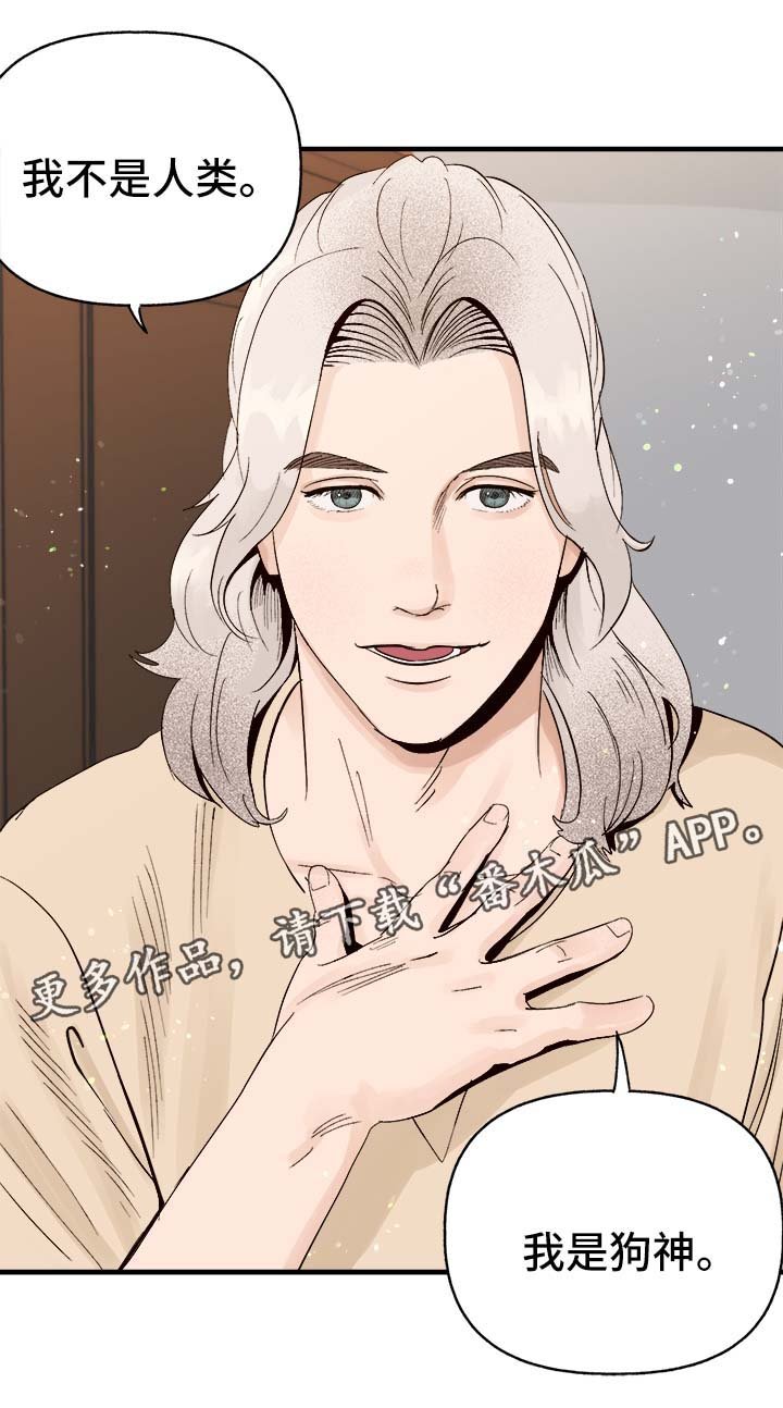 第29章：狗神
