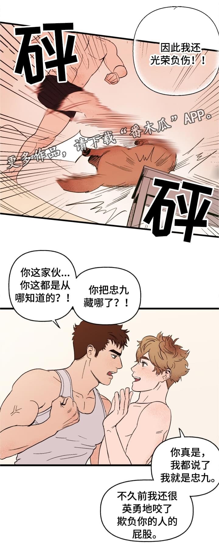 第3章：难以置信