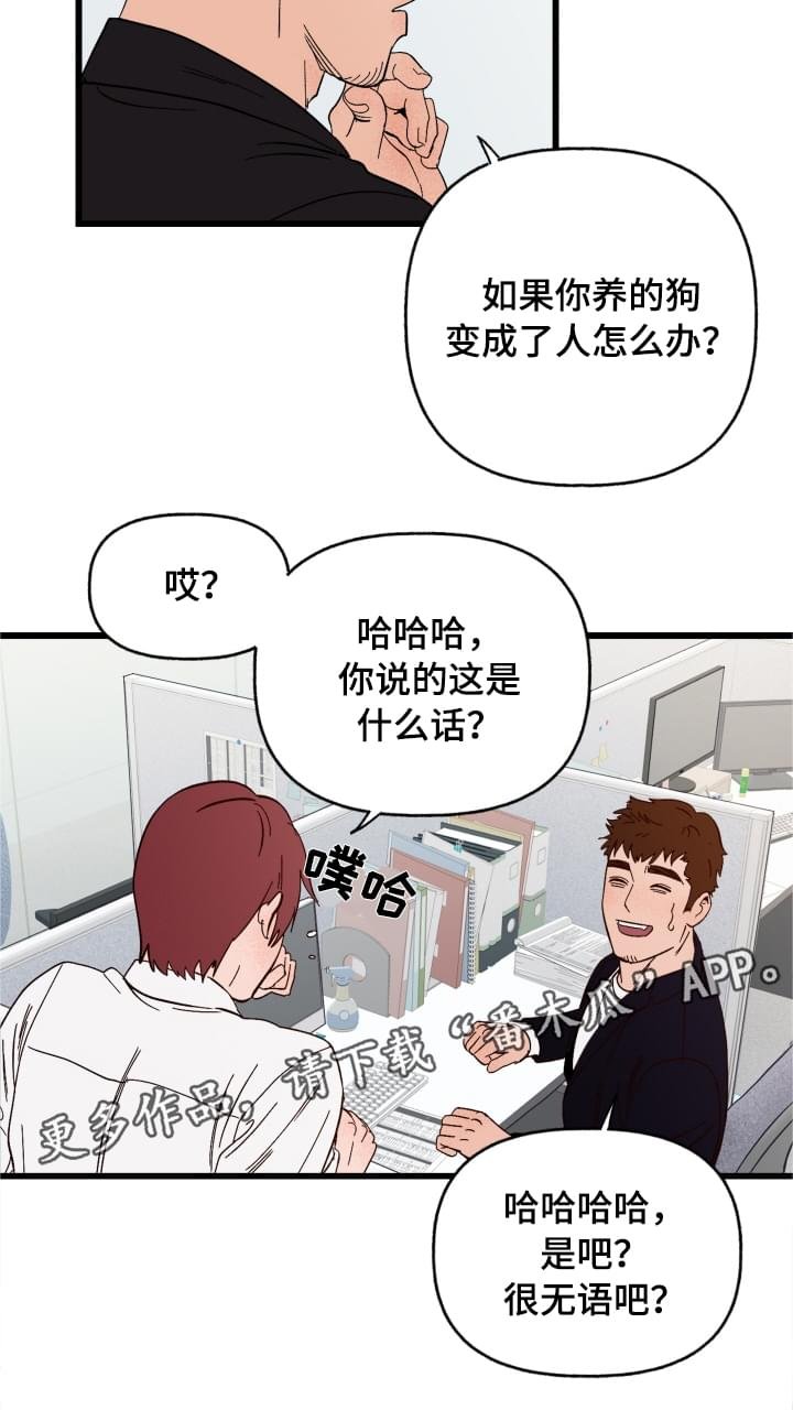 第3章：难以置信