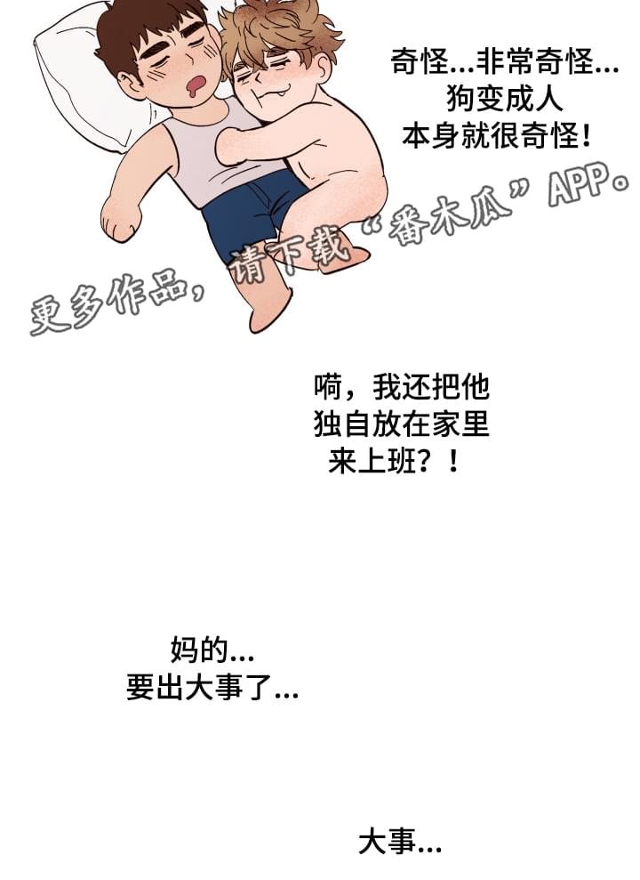 第3章：难以置信