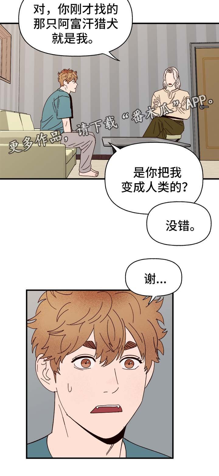 第30章：隐晦