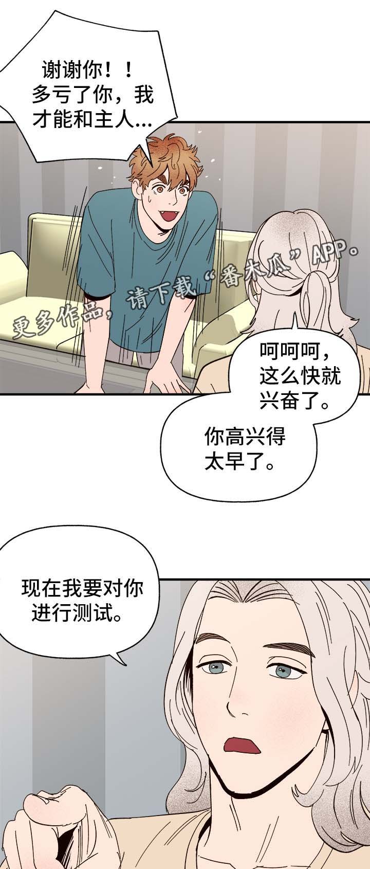 第30章：隐晦