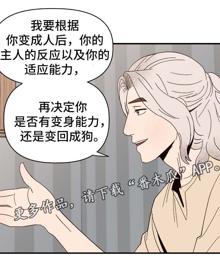 第30章：隐晦