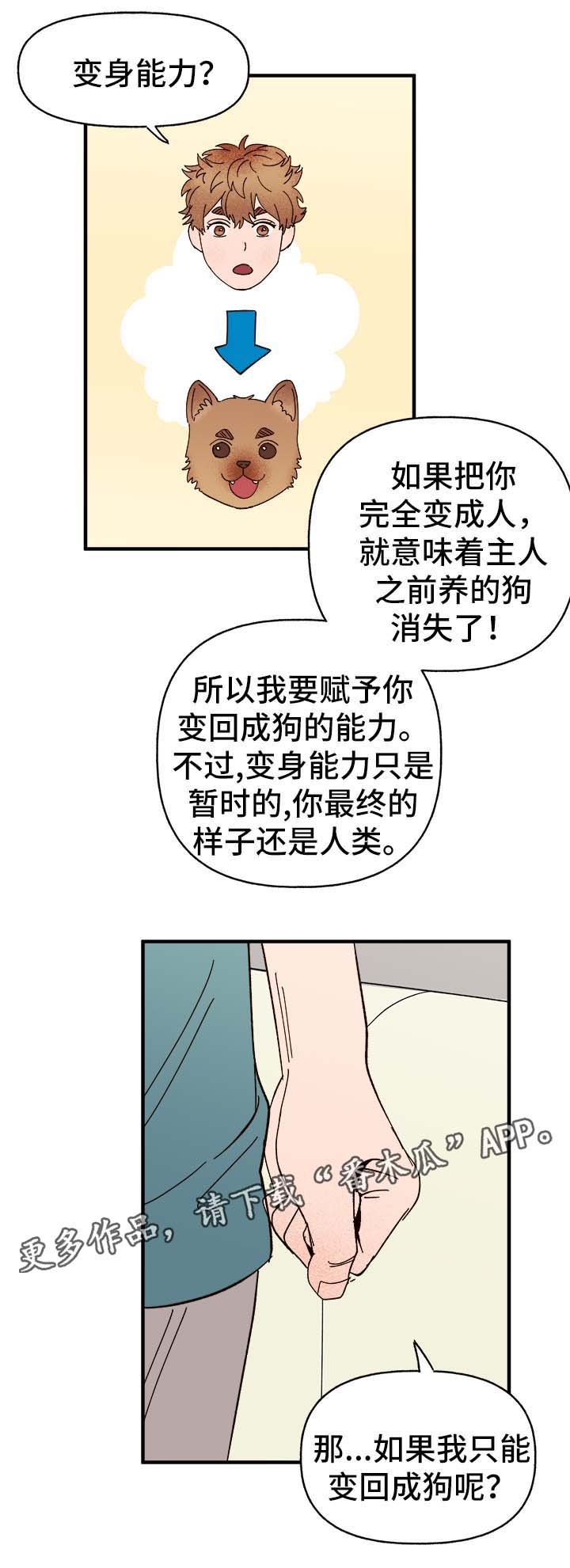 第30章：隐晦