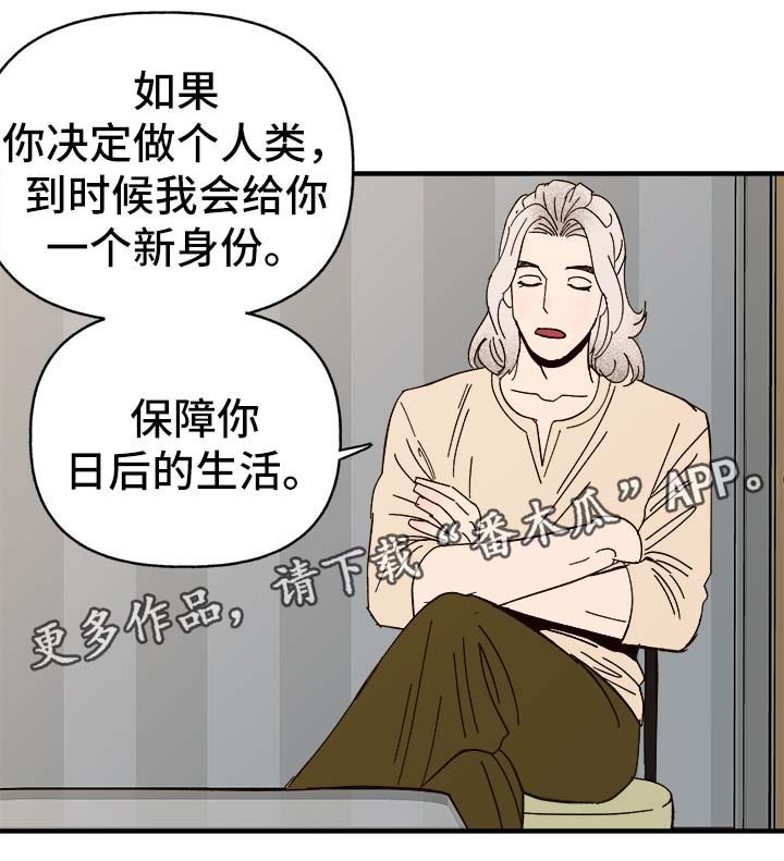 第30章：隐晦