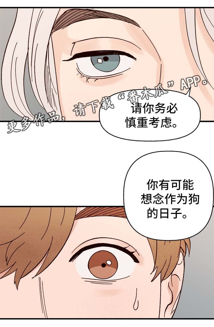 第30章：隐晦