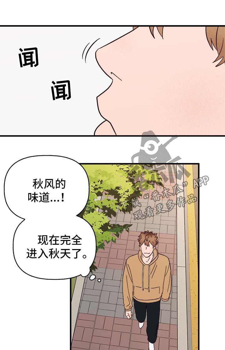 第33章：忠告