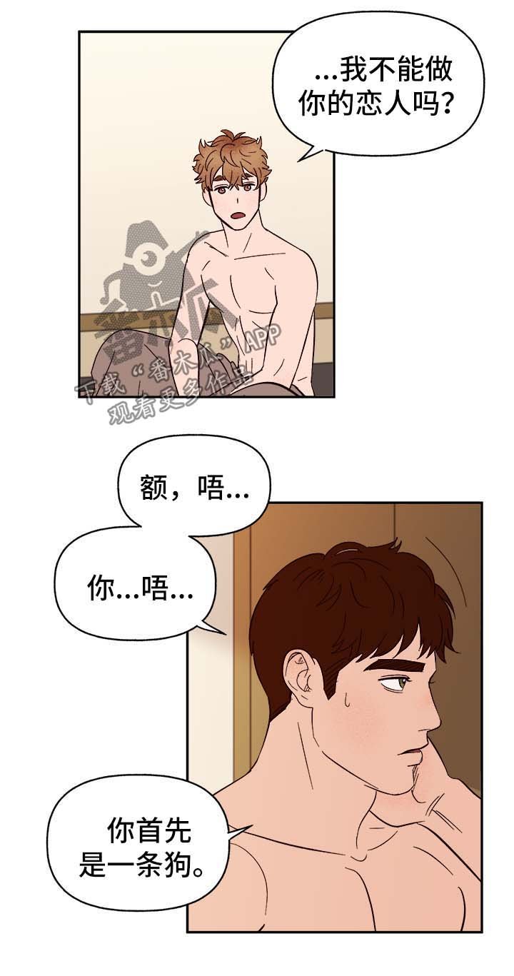 第37章：首先你是只狗