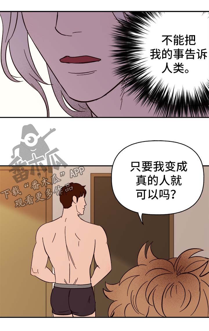 第37章：首先你是只狗