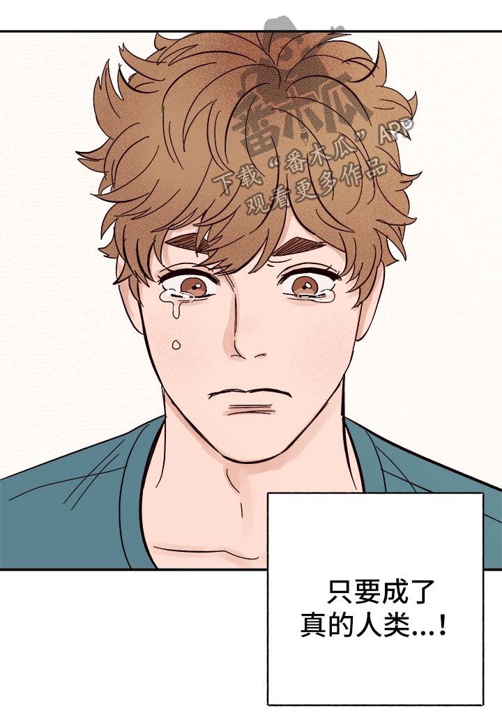 第40章：下定决心