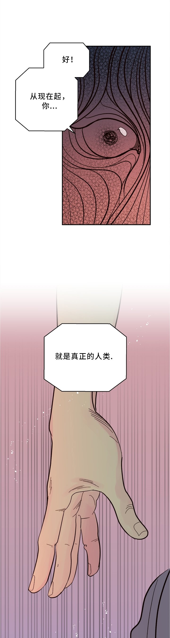 第41章：美梦成真