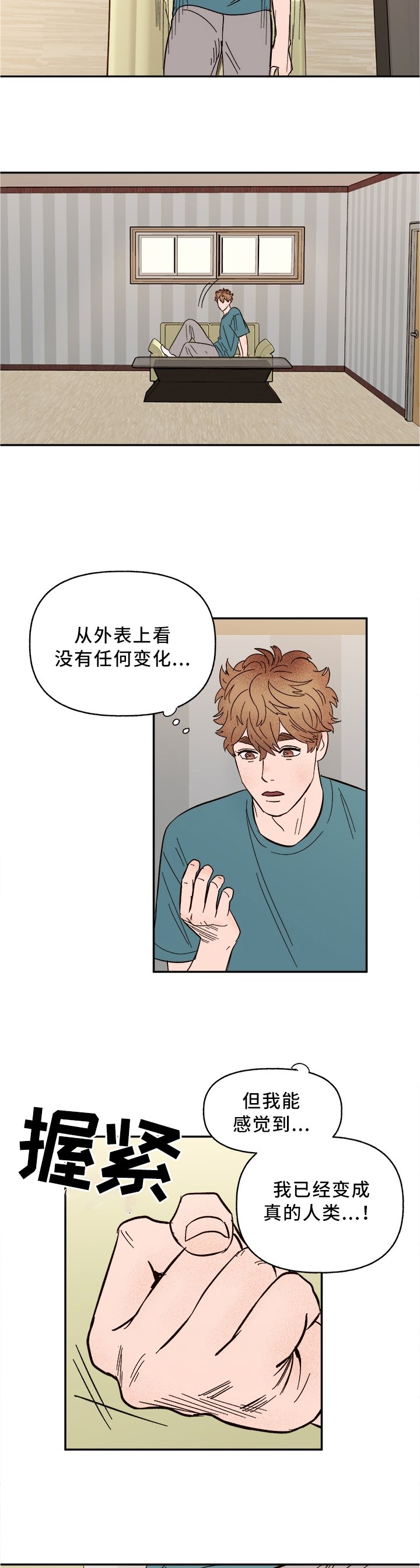 第41章：美梦成真