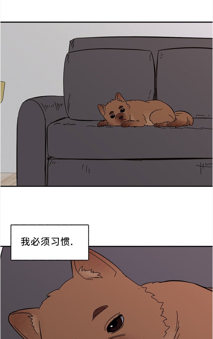 第44章：为你服务