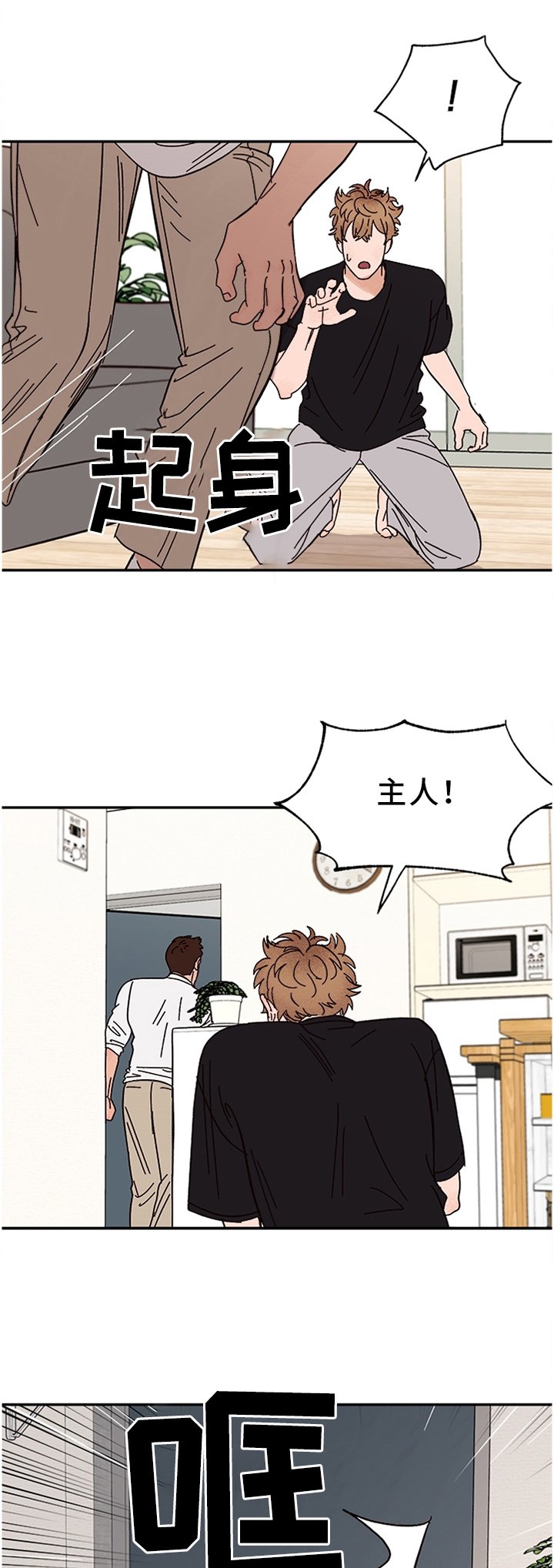第47章：不该是这样的
