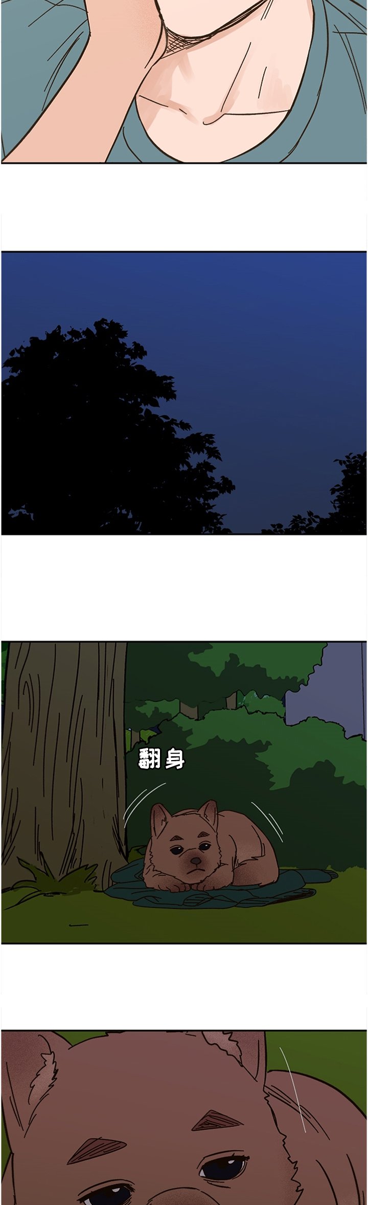 第50章：这样的结果