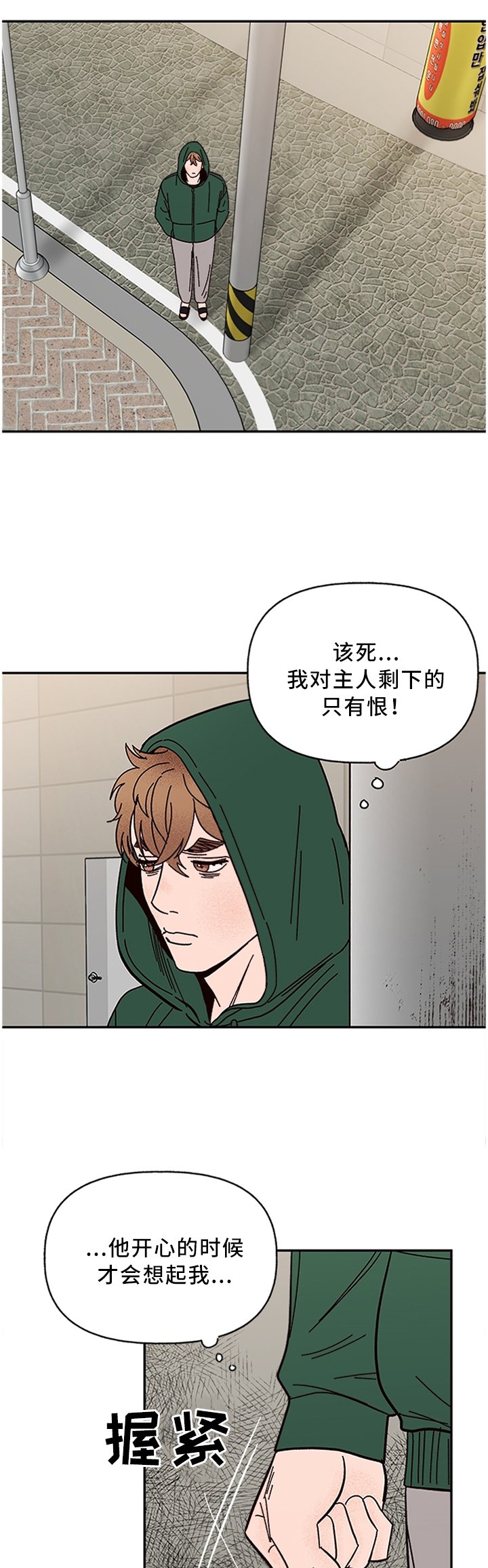 第52章：巧遇