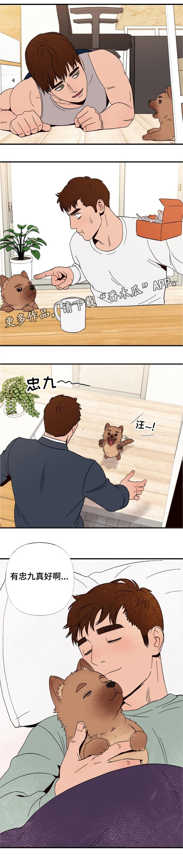 第6章：惩罚