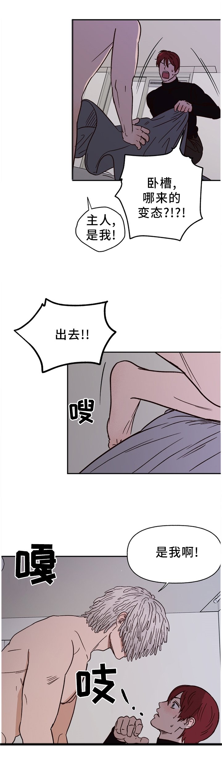 第66章：【番外】报警