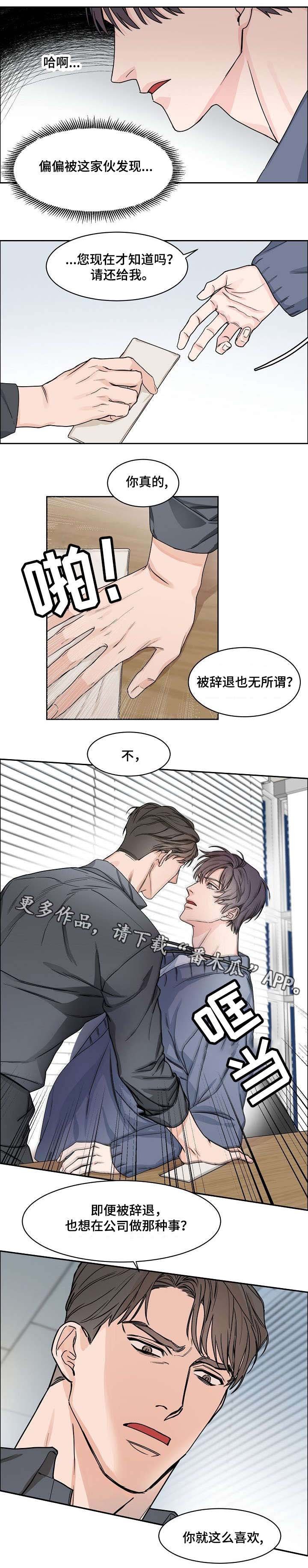 第11章：挑衅
