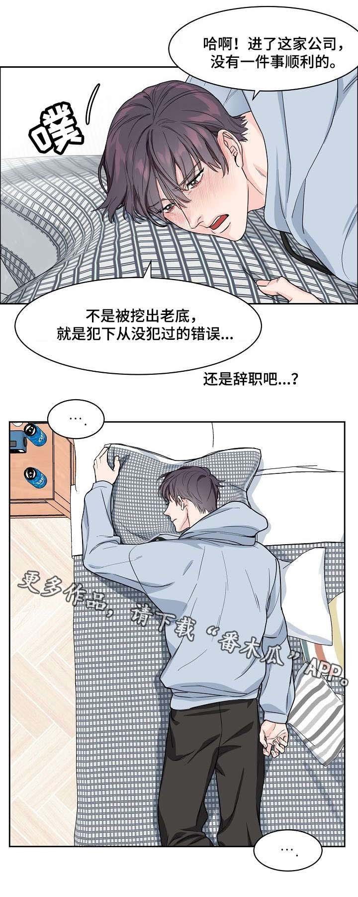 第14章：视线