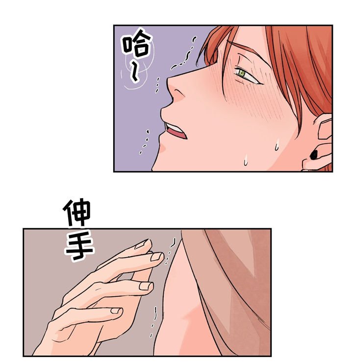 第20章：重要的客人