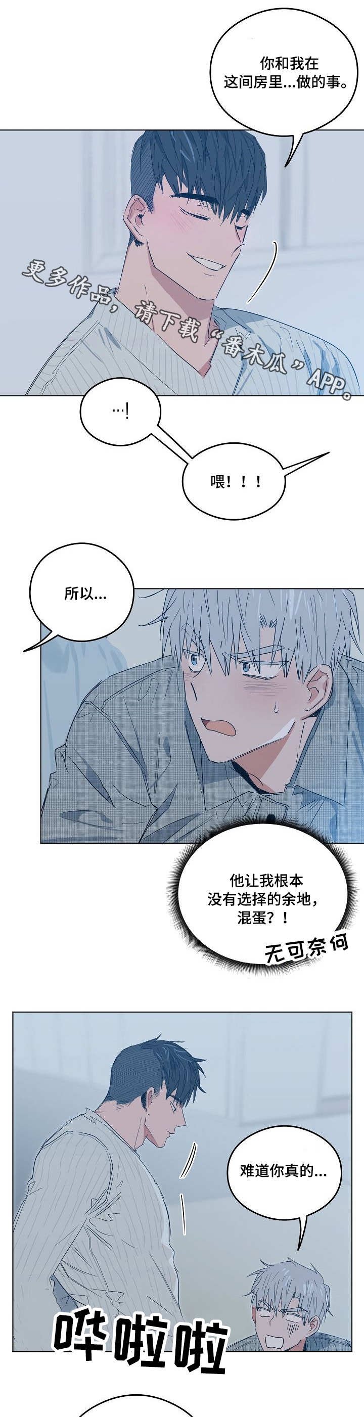 第12章：道歉