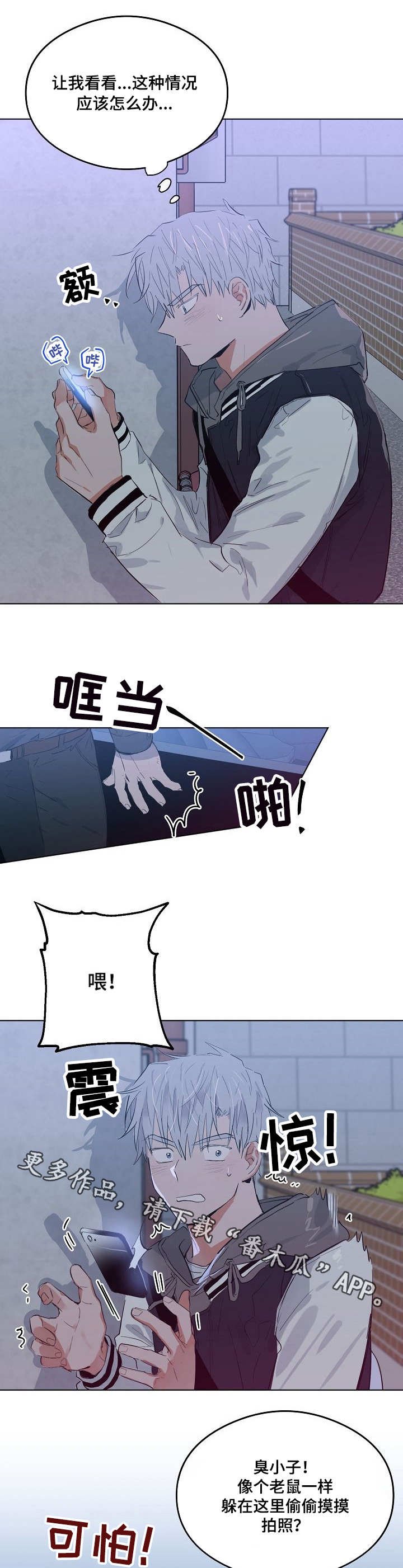 第20章：大哥