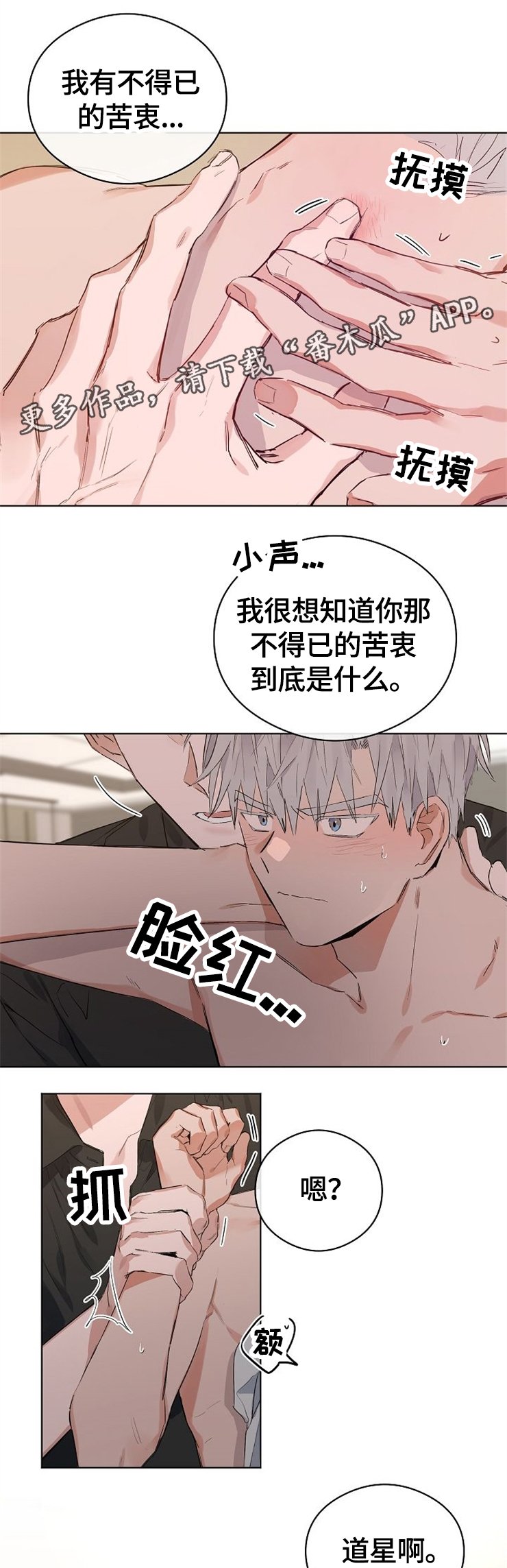 第48章：爱称