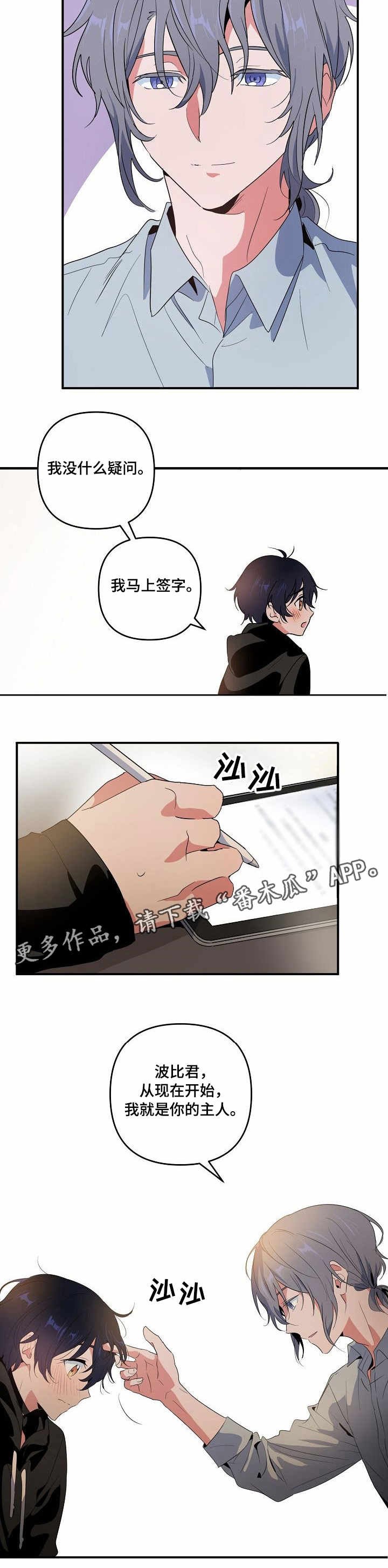 第10章：合约