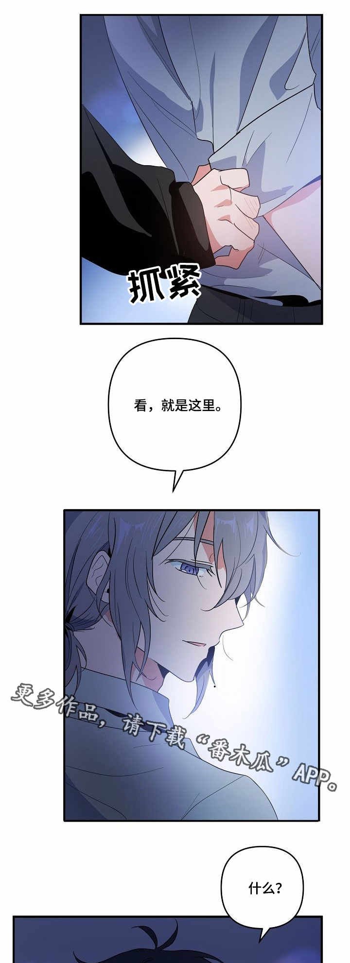 第10章：合约