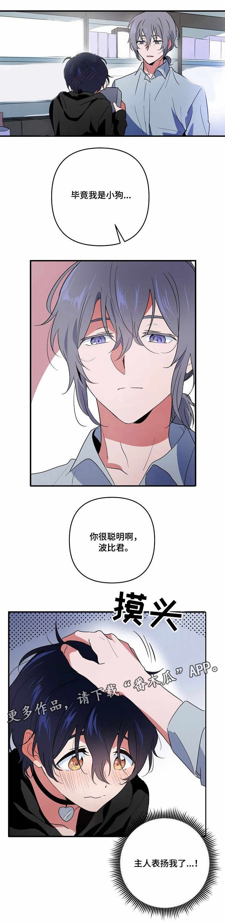 第11章：道具