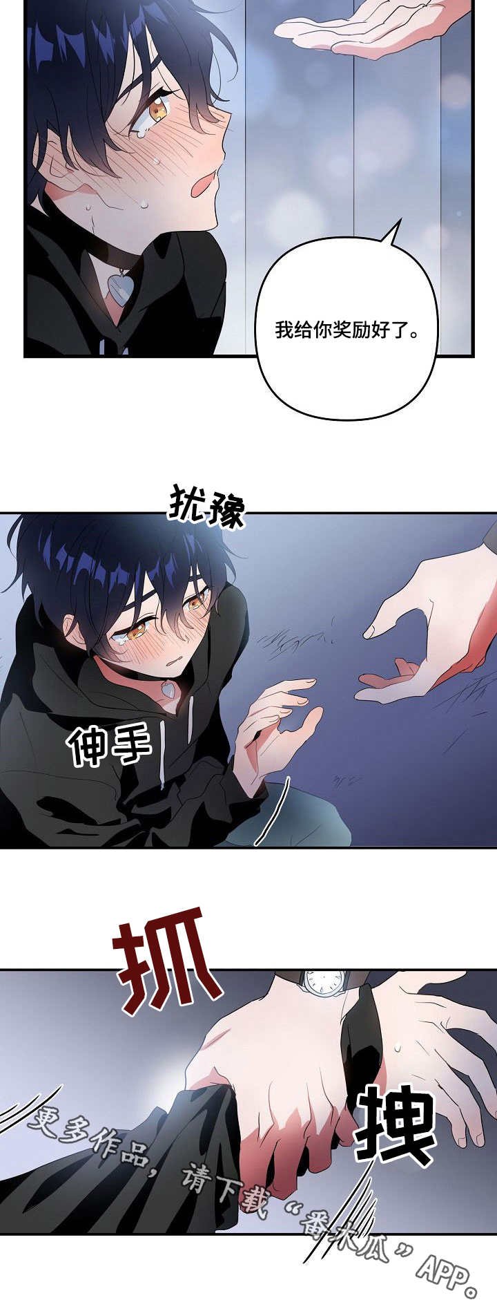 第12章：奖励