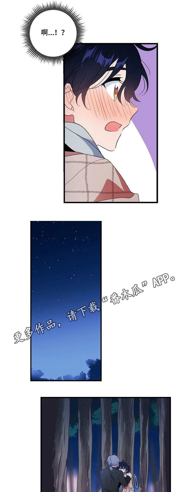 第14章：项圈