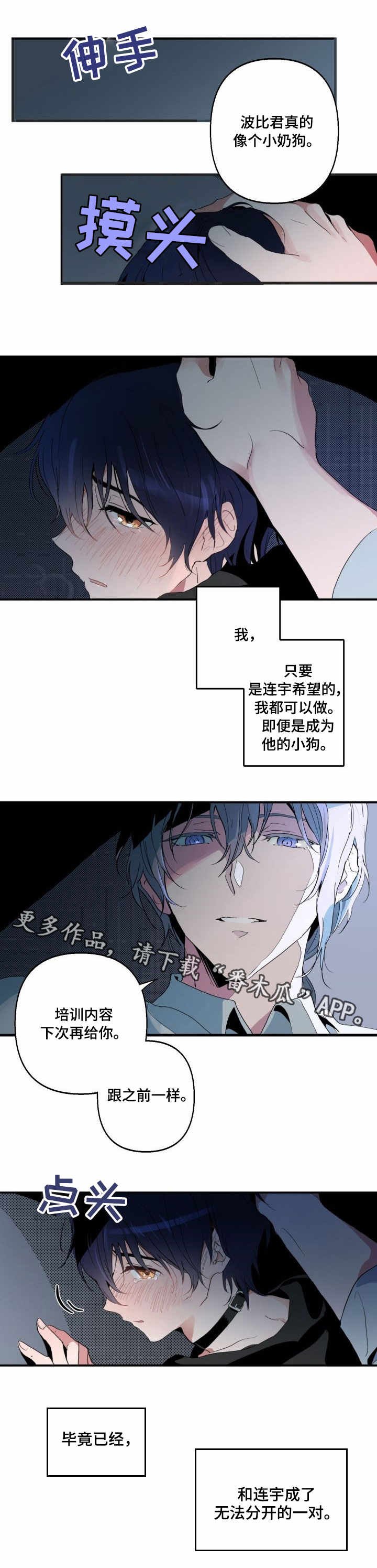 第3章：回复