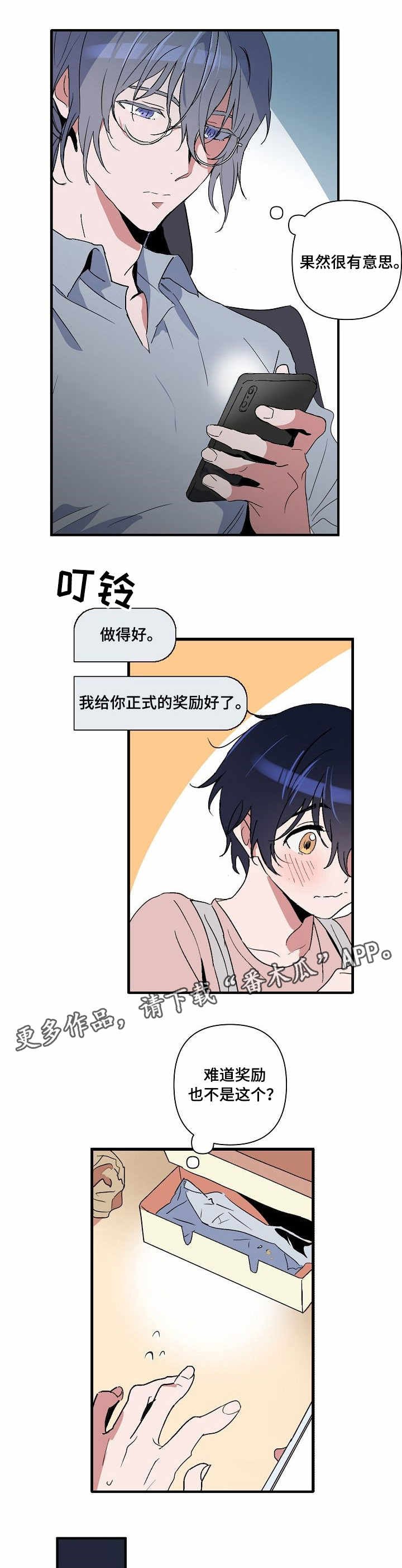 第6章：有趣